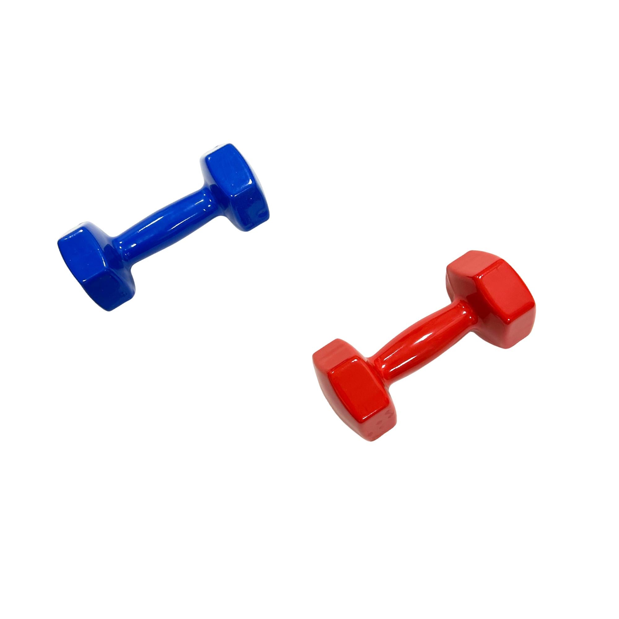 GD manubrio da 6kg, peso colorato per allenamento in casa, manubrio in gomma e ferro.